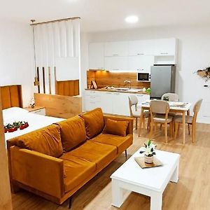 Appartement met een Slaapkamer
